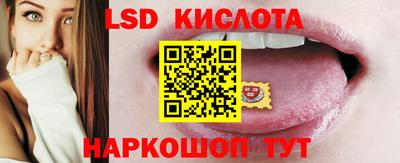 прущие грибы Донецк