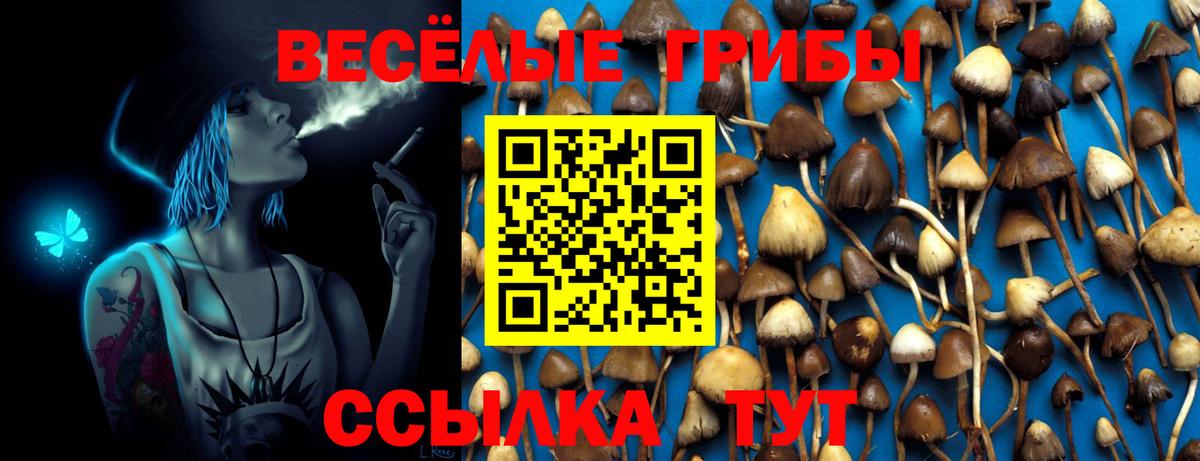 Псилоцибиновые грибы прущие грибы Люберцы