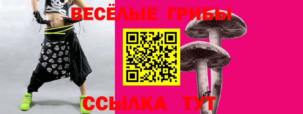 даркнет сайт  Вход с VPN  Люберцы  Псилоцибиновые грибы Magic Shrooms 